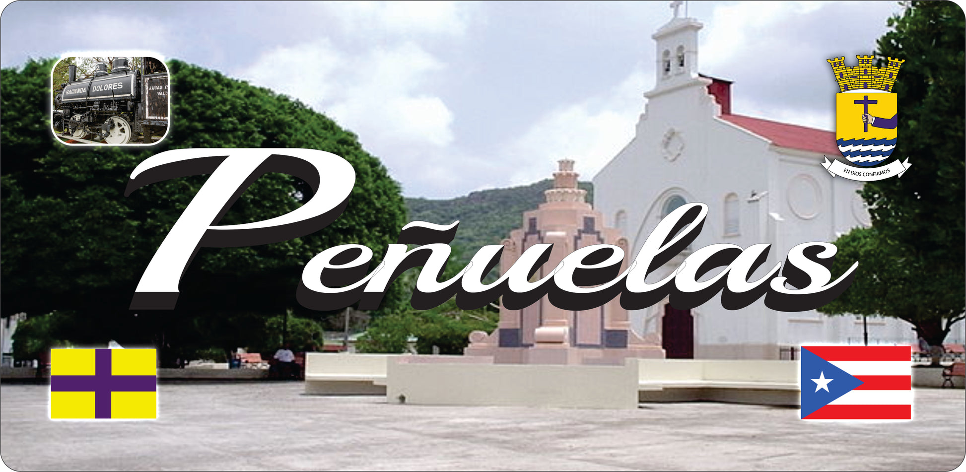 Puerto Rico and 78 Towns License Plate