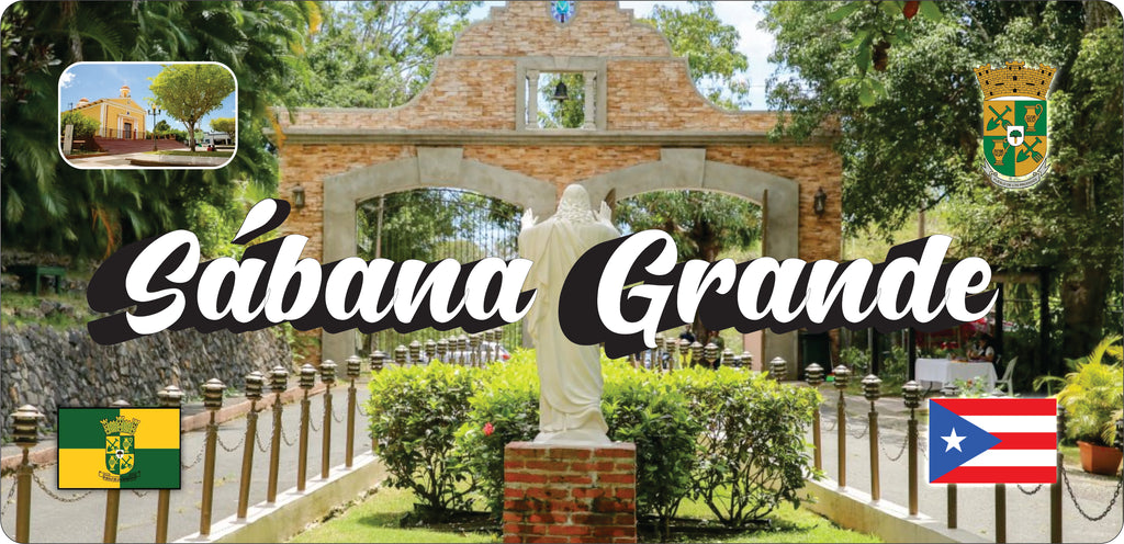 SABANA GRANDE Puerto Rico Souvenirs PRS Town Set