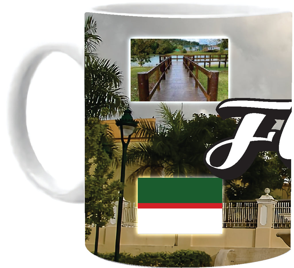 FLORIDA Puerto Rico Souvenirs PRS Town Set