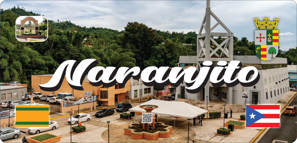 NARANJITO Puerto Rico Souvenirs PRS Town Set