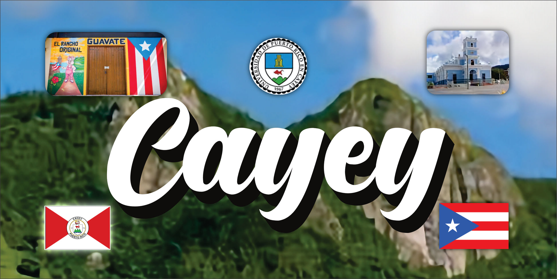 Puerto Rico and 78 Towns License Plate