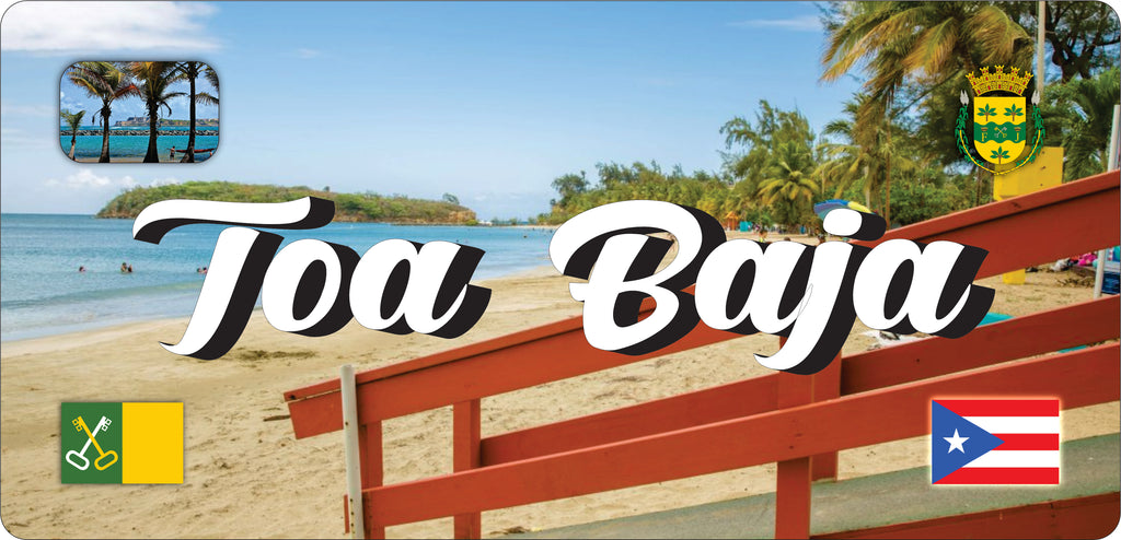 TOA BAJA Puerto Rico Souvenirs PRS Town Set