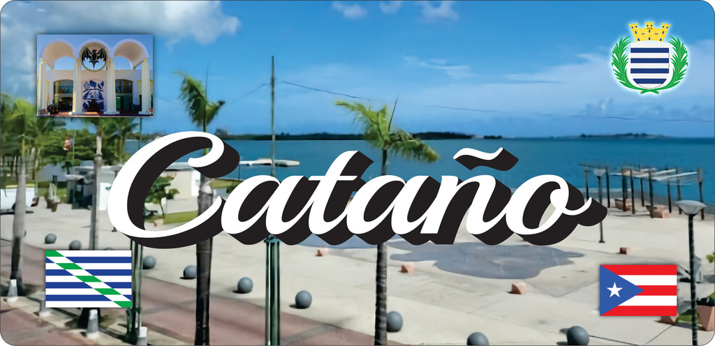 Puerto Rico and 78 Towns License Plate