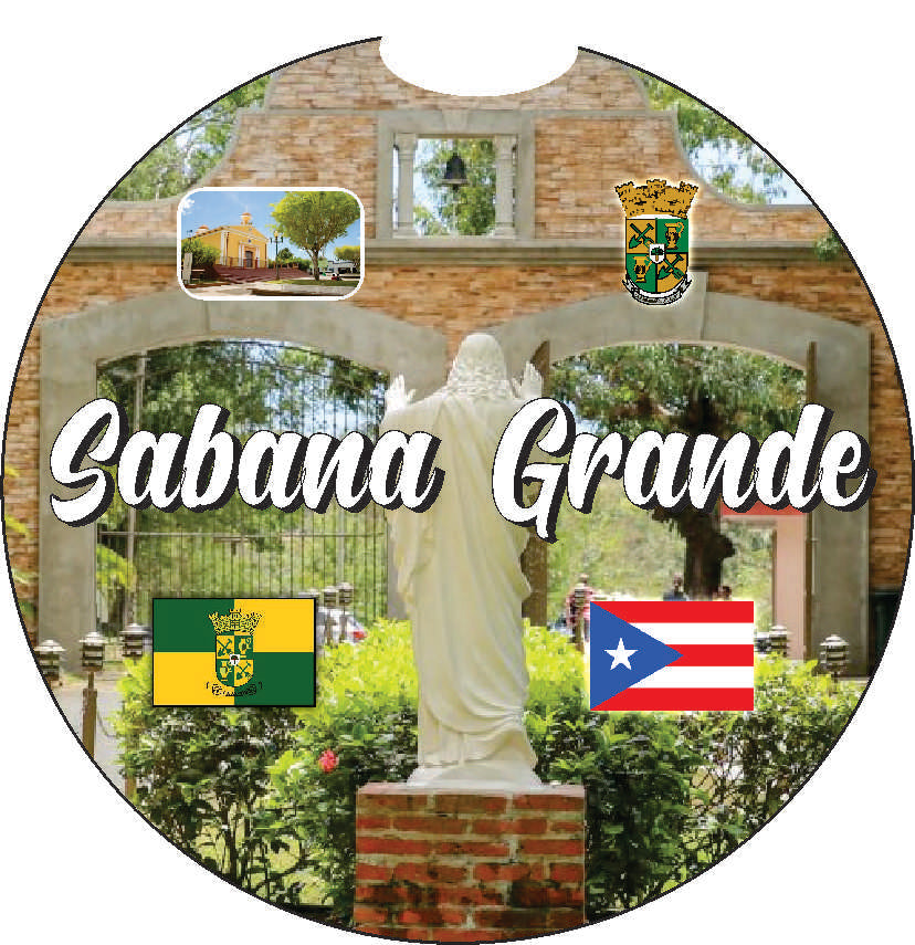 Puerto Rico and 78 Towns 2pc Car Coasters