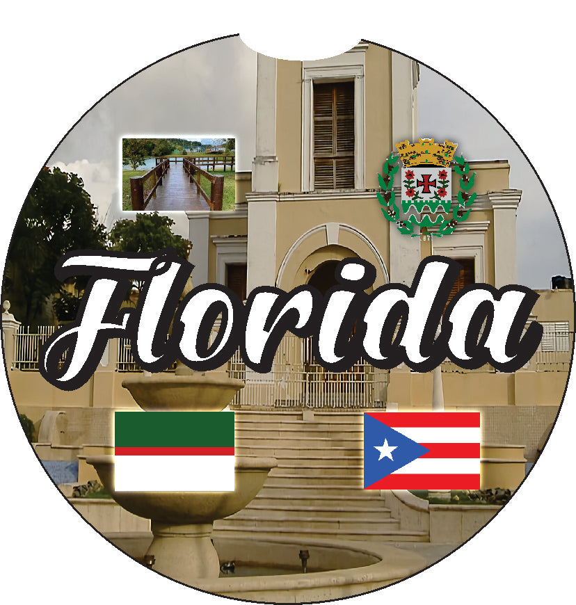 Puerto Rico and 78 Towns 2pc Rubber Car Coaster PRS