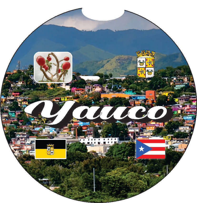 Puerto Rico and 78 Towns 2pc Car Coasters