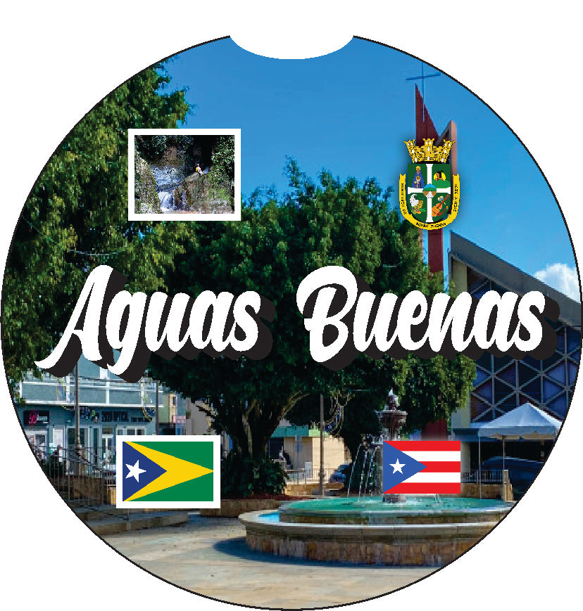 Puerto Rico and 78 Towns 2pc Car Coasters