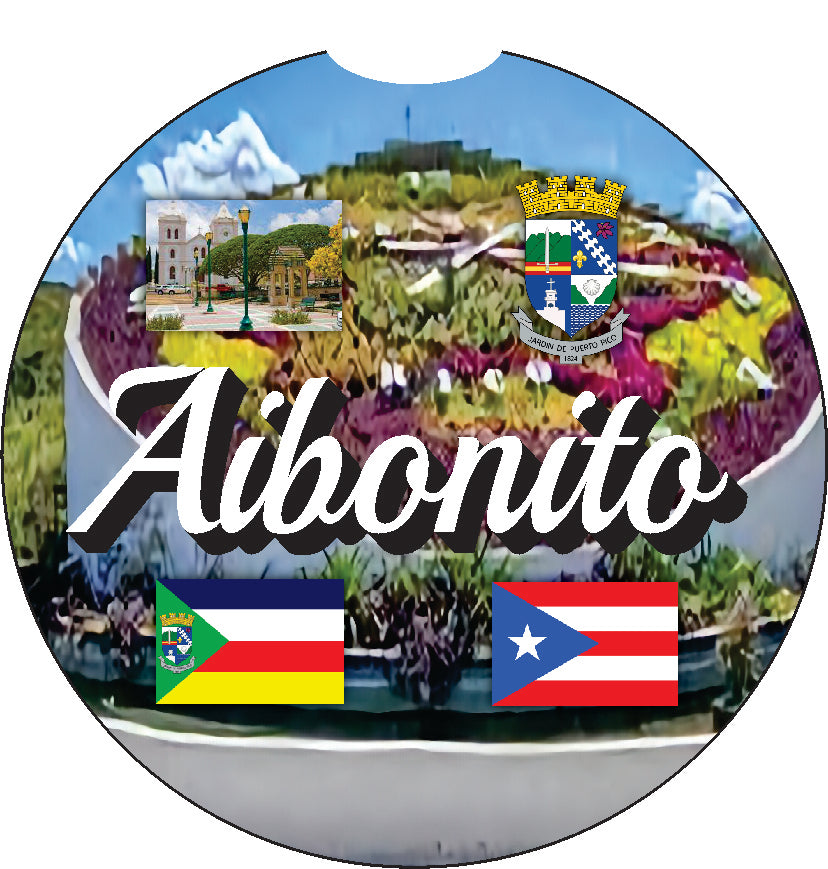 Puerto Rico and 78 Towns 2pc Car Coasters