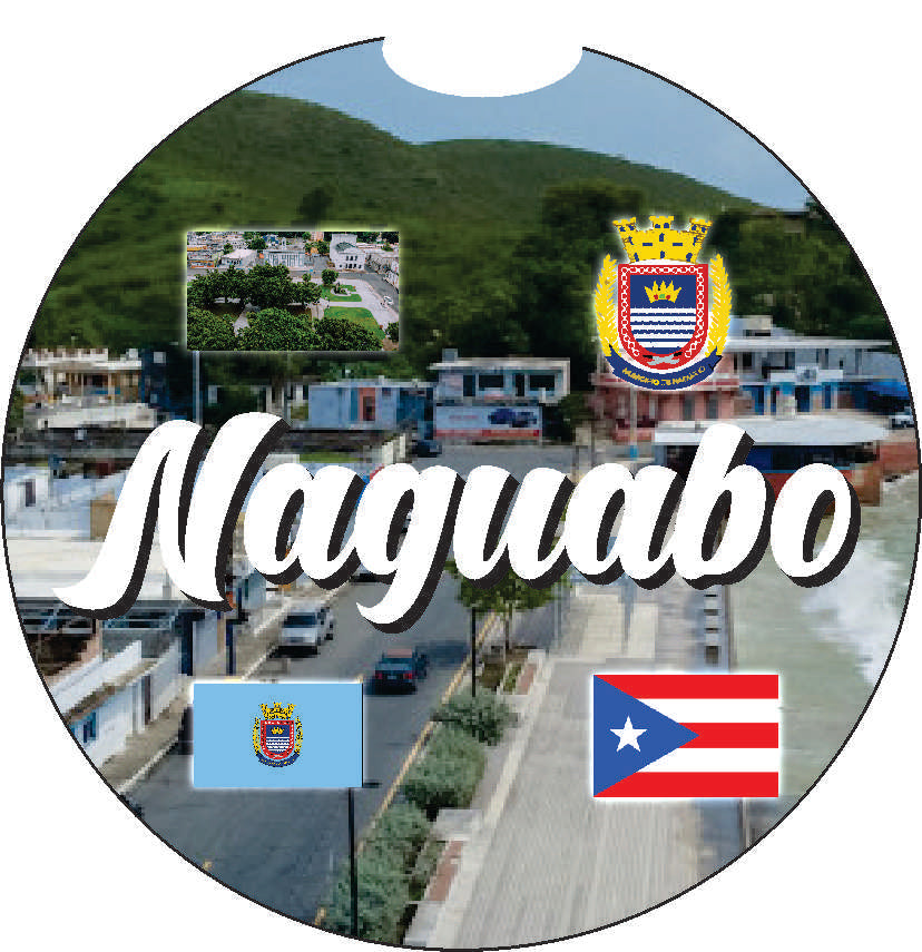 Puerto Rico and 78 Towns 2pc Rubber Car Coaster PRS