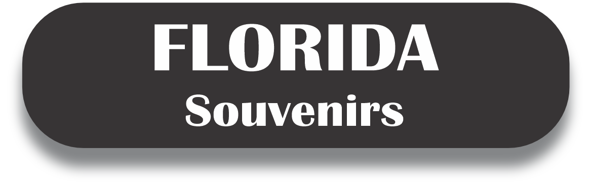 FLORIDA Puerto Rico Souvenirs PRS Town Set