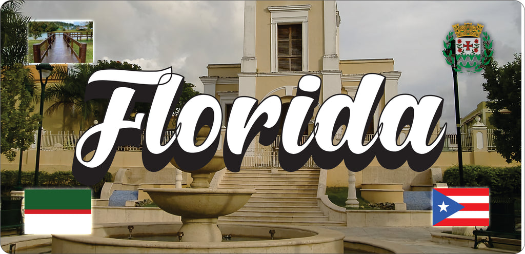 FLORIDA Puerto Rico Souvenirs PRS Town Set