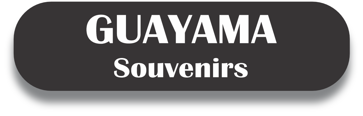 GUAYAMA Puerto Rico Souvenirs PRS Town Set