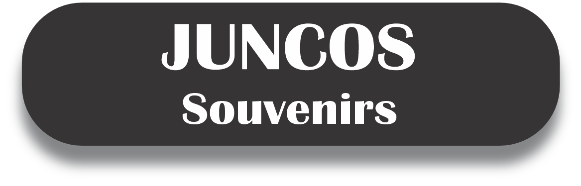 JUNCOS Puerto Rico Souvenirs PRS Town Set