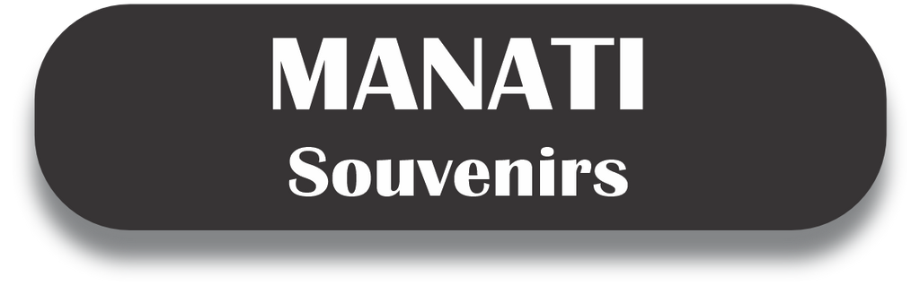 MANATI Puerto Rico Souvenirs PRS Town Set