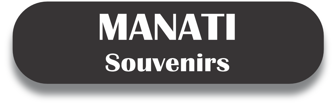 MANATI Puerto Rico Souvenirs PRS Town Set