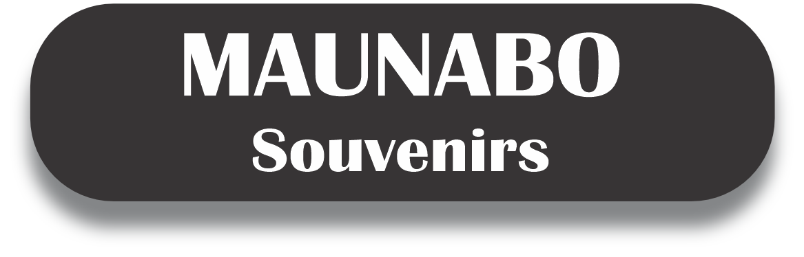 MAUNABO Puerto Rico Souvenirs PRS Town Set