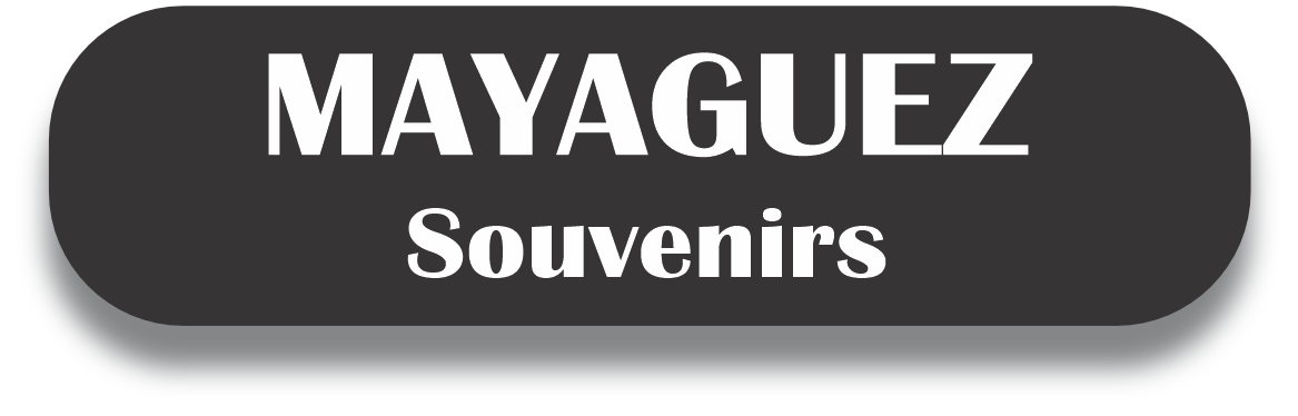 MAYAGUEZ Puerto Rico Souvenirs PRS Town Set