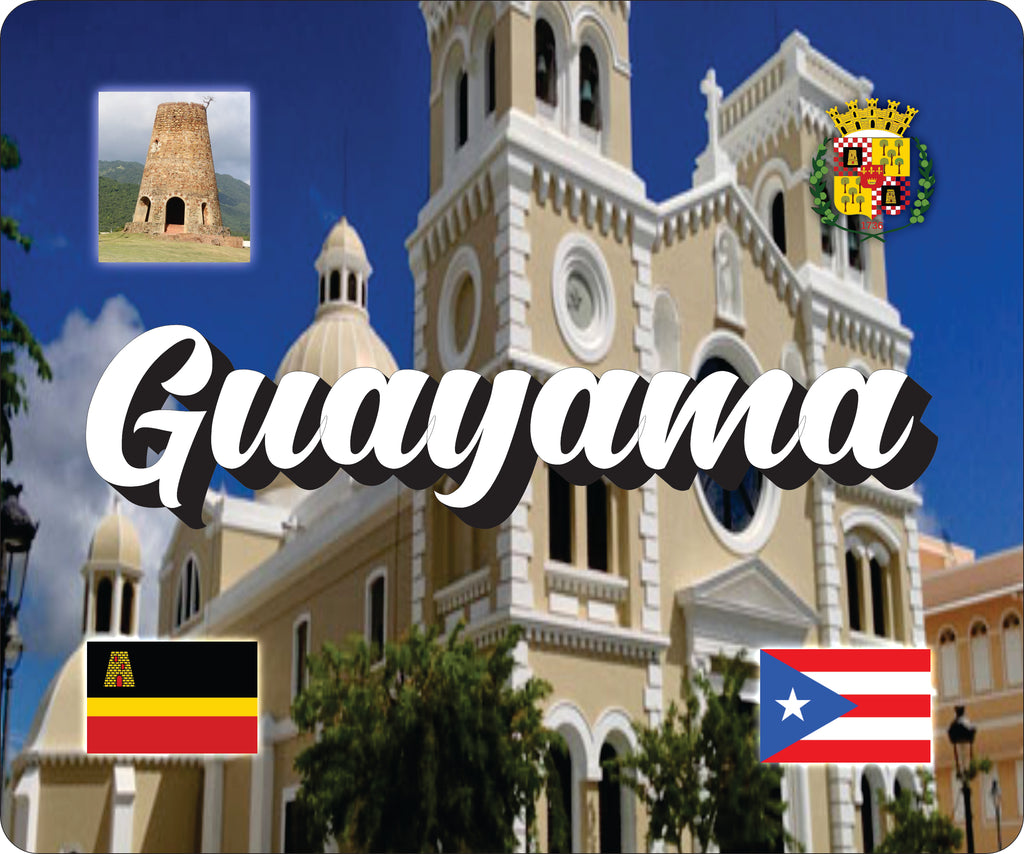 GUAYAMA Puerto Rico Souvenirs PRS Town Set