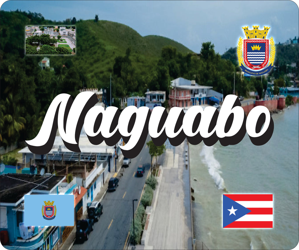 NAGUABO Puerto Rico Souvenirs PRS Town Set