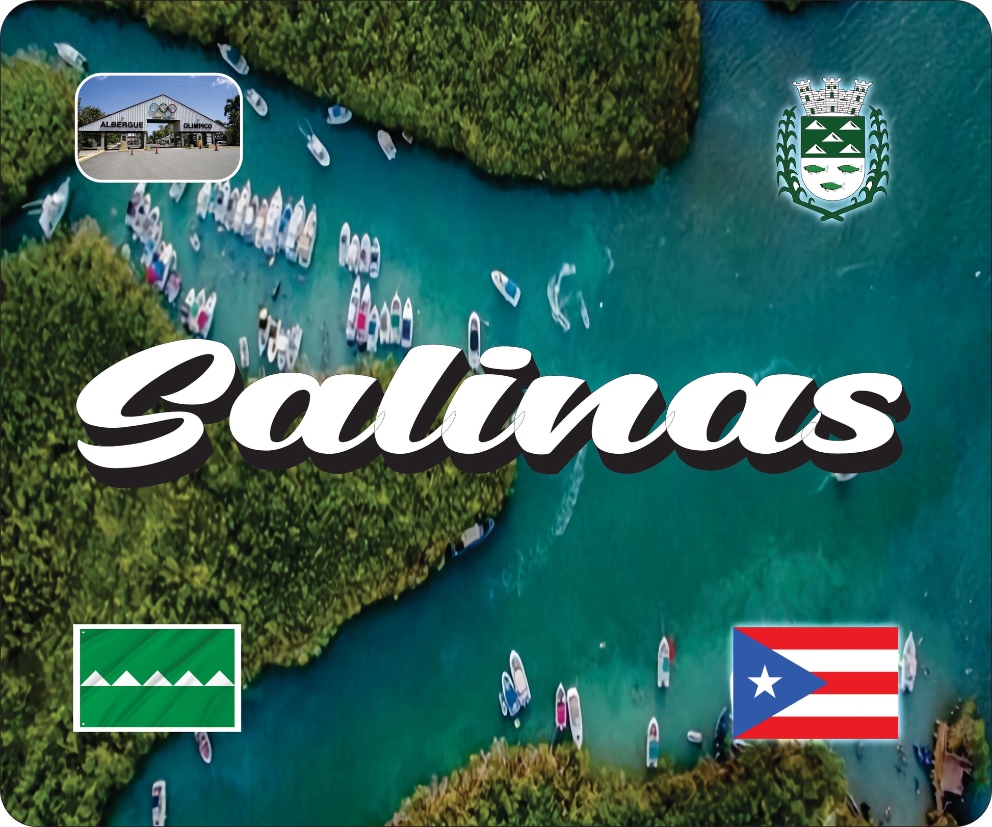 SALINAS Puerto Rico Souvenirs PRS Town Set