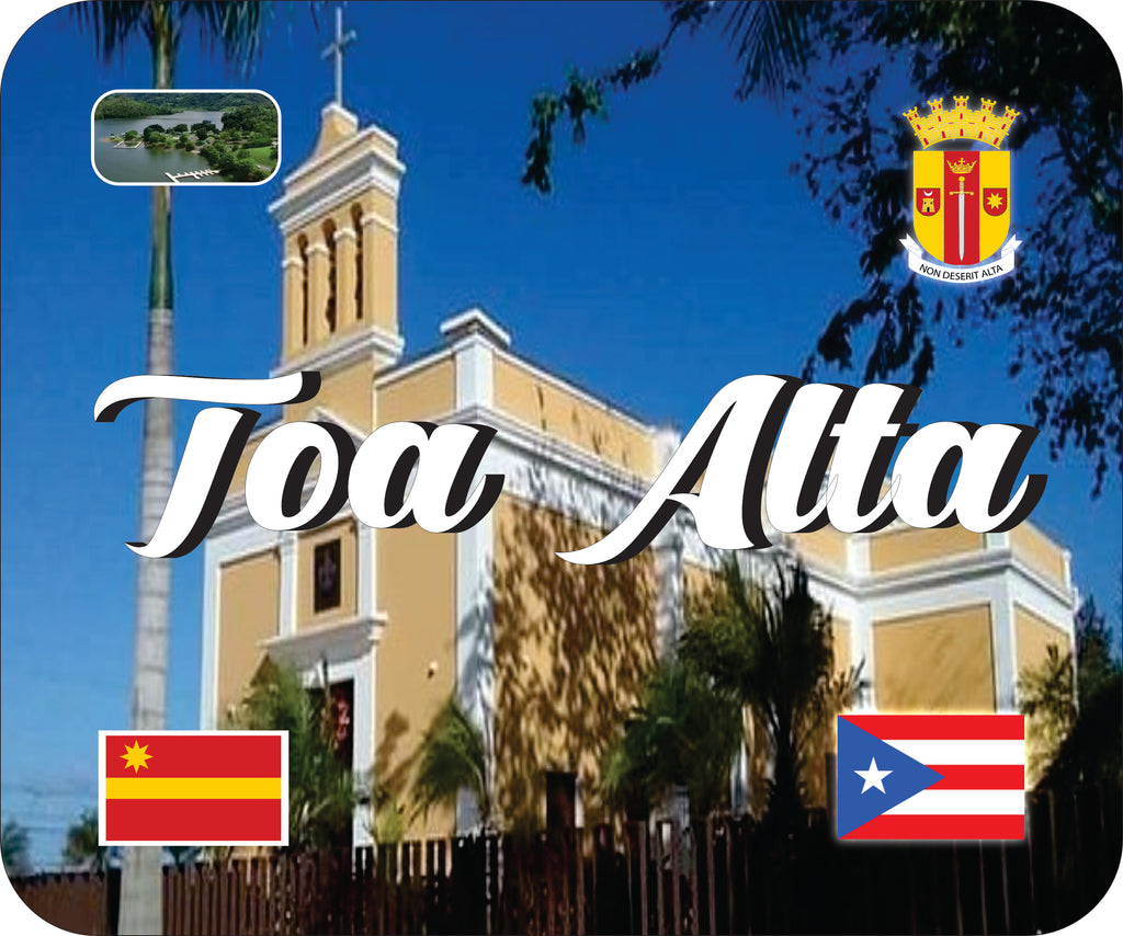 TOA ALTA Puerto Rico Souvenirs PRS Town Set