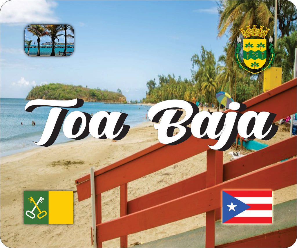 TOA BAJA Puerto Rico Souvenirs PRS Town Set