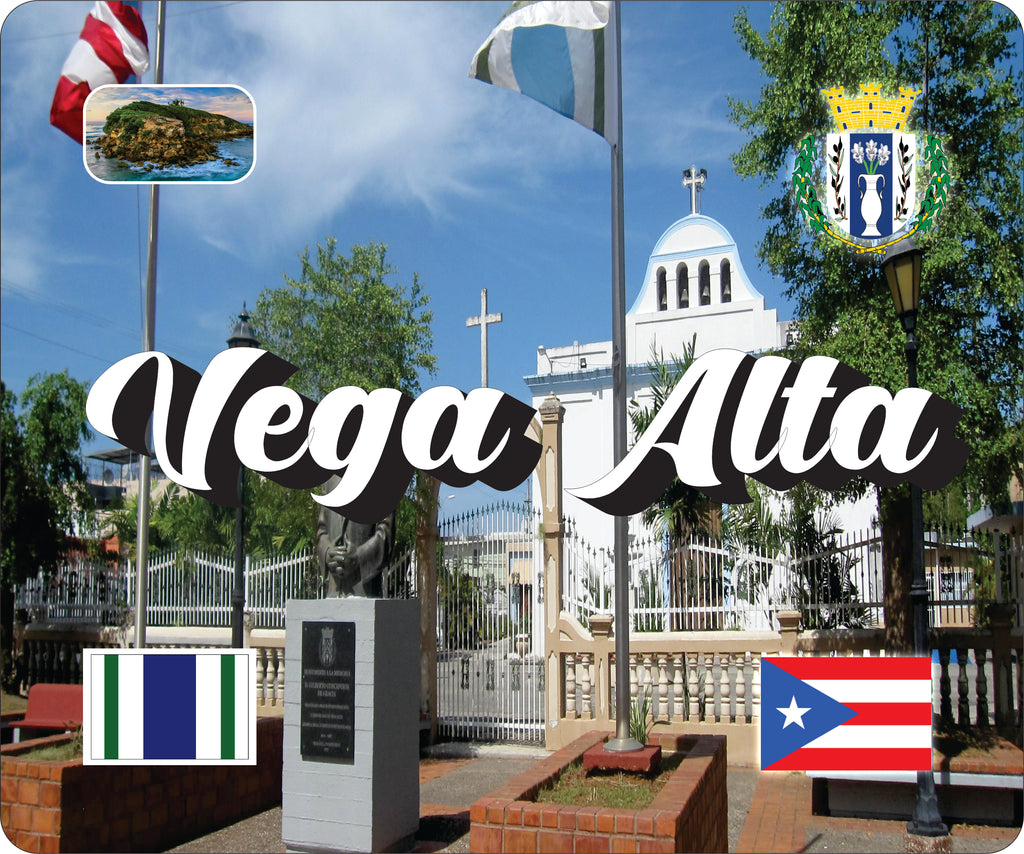 VEGA ALTA Puerto Rico Souvenirs PRS Town Set