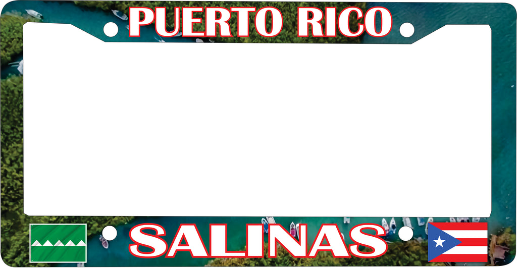 SALINAS Puerto Rico Souvenirs PRS Town Set