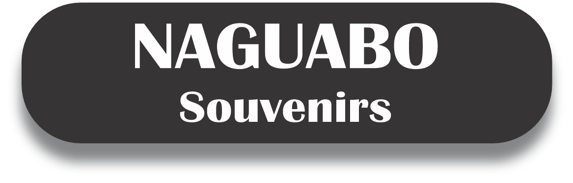 NAGUABO Puerto Rico Souvenirs PRS Town Set