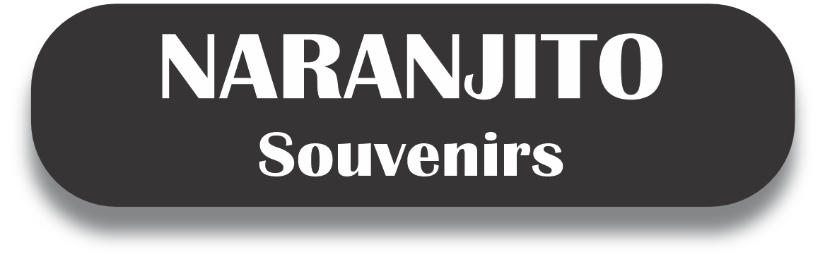 NARANJITO Puerto Rico Souvenirs PRS Town Set