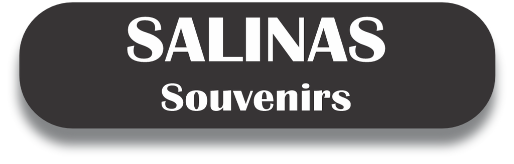 SALINAS Puerto Rico Souvenirs PRS Town Set