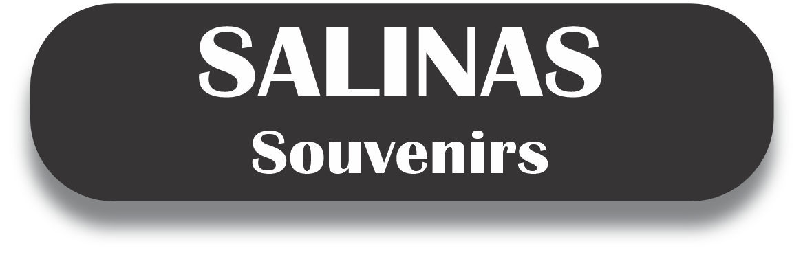 SALINAS Puerto Rico Souvenirs PRS Town Set