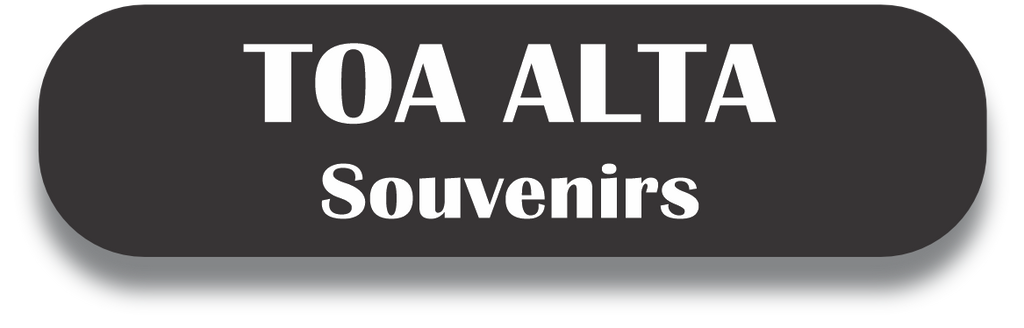 TOA ALTA Puerto Rico Souvenirs PRS Town Set