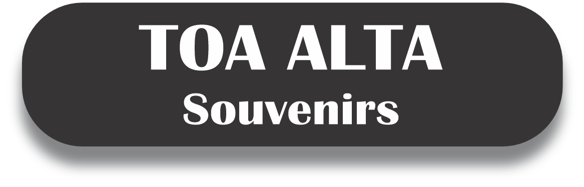 TOA ALTA Puerto Rico Souvenirs PRS Town Set