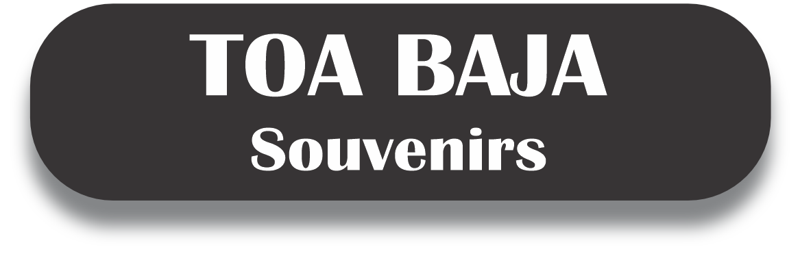 TOA BAJA Puerto Rico Souvenirs PRS Town Set