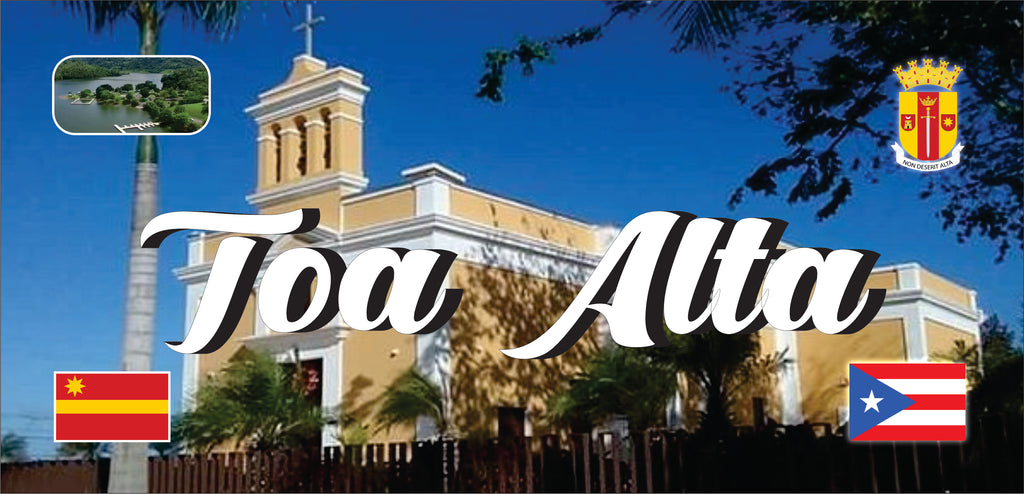 TOA ALTA Puerto Rico Souvenirs PRS Town Set