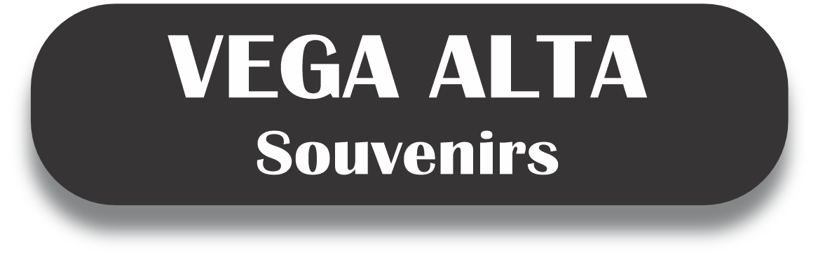 VEGA ALTA Puerto Rico Souvenirs PRS Town Set