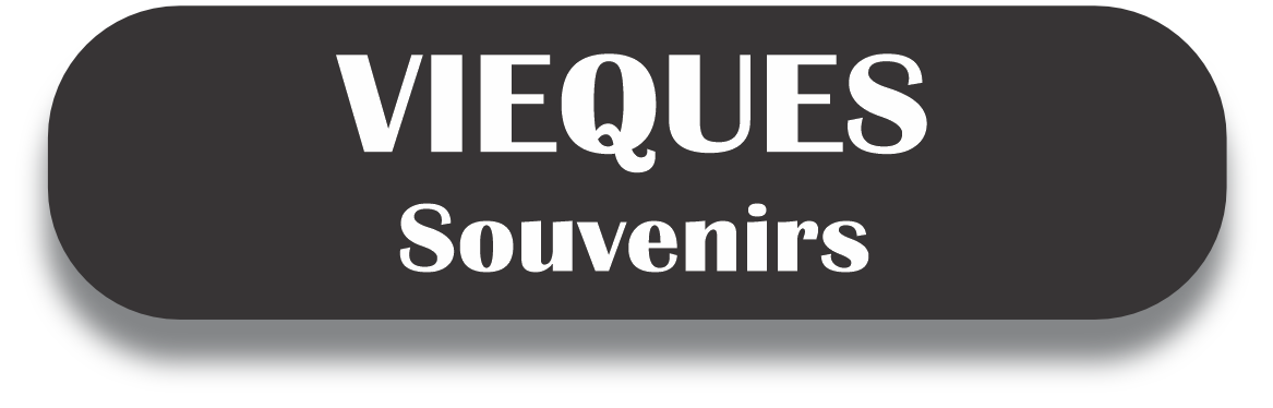 VIEQUES Puerto Rico Souvenirs PRS Town Set