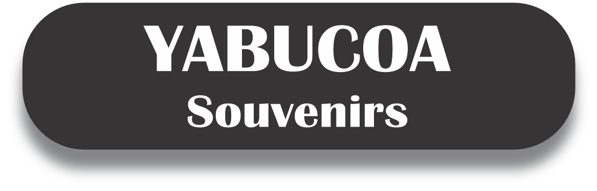 YABUCOA Puerto Rico Souvenirs PRS Town Set