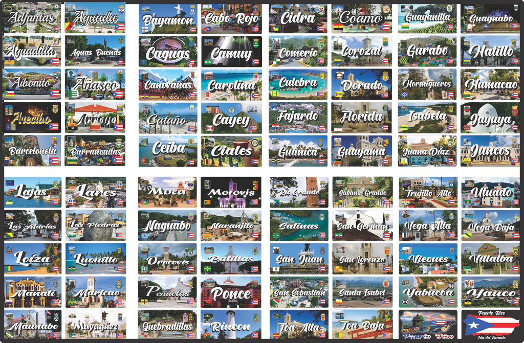 Puerto Rico and 78 Towns License Plate